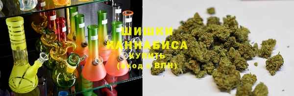 гашик Аркадак