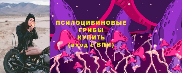 гашик Аркадак